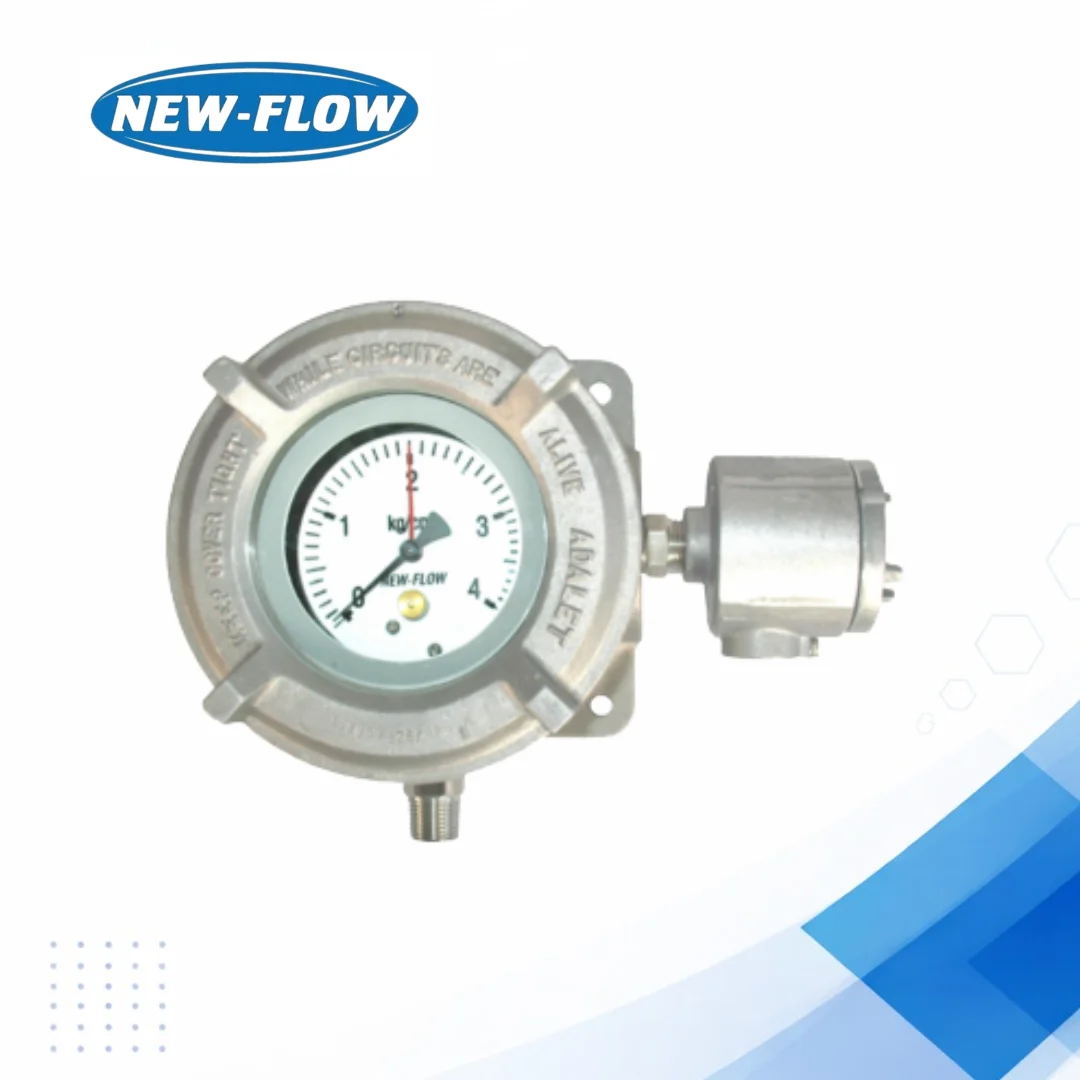 PIS5000X Explosion Proof Pressure Switch for Industry