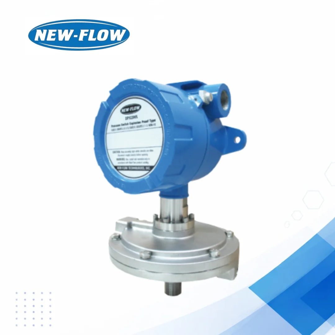 DPS2200X Differential Pressure Switch for Industrial Use