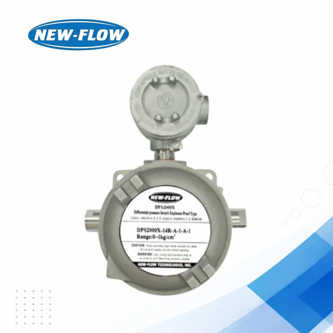 DPS2000X Industrial Pressure Switch for Precision Control