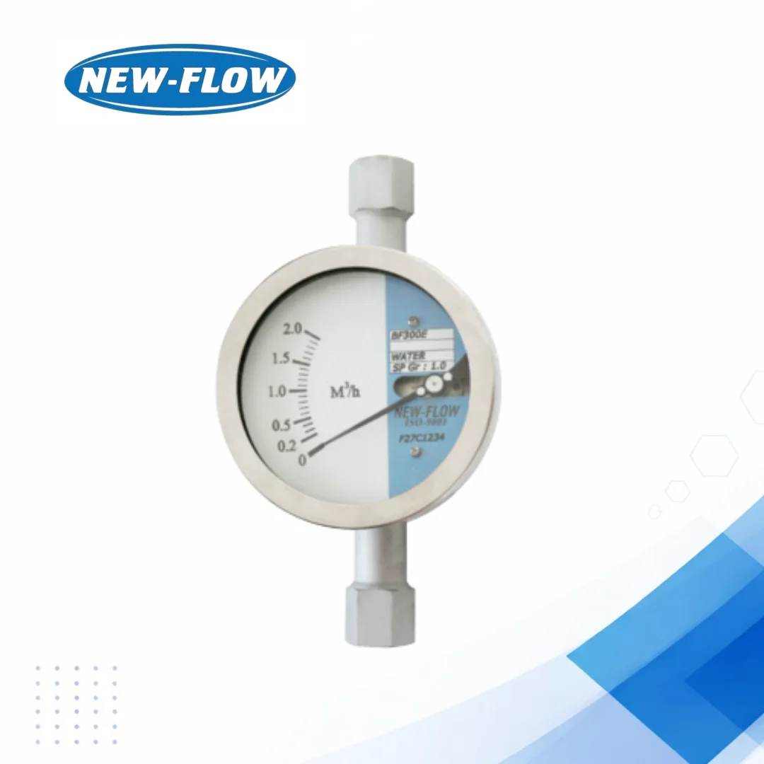 BF300E Metal Tube Flow Meter for Industrial Flow Control
