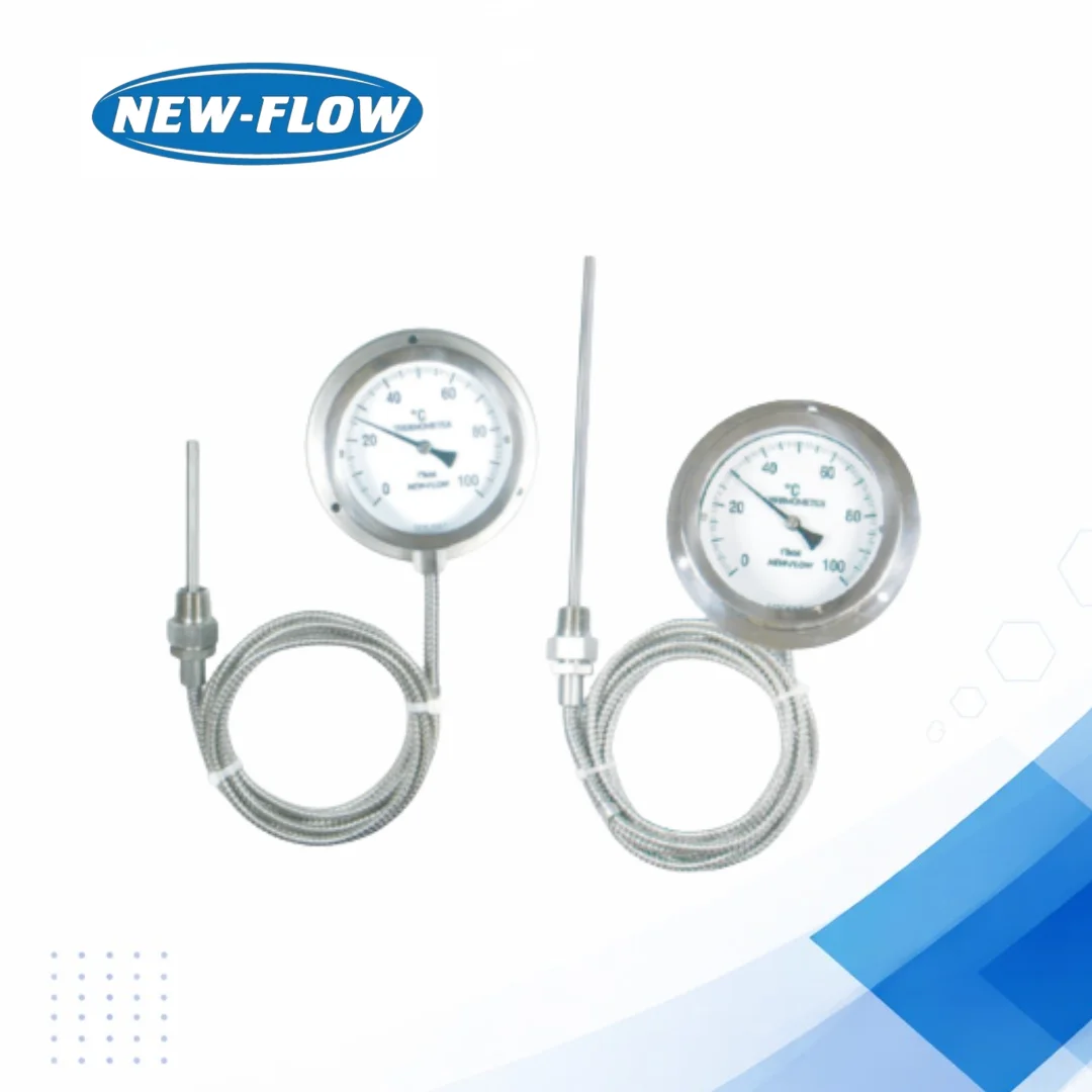 SM_SA_4_6 Industrial Remote Temperature Gauge High Accuracy