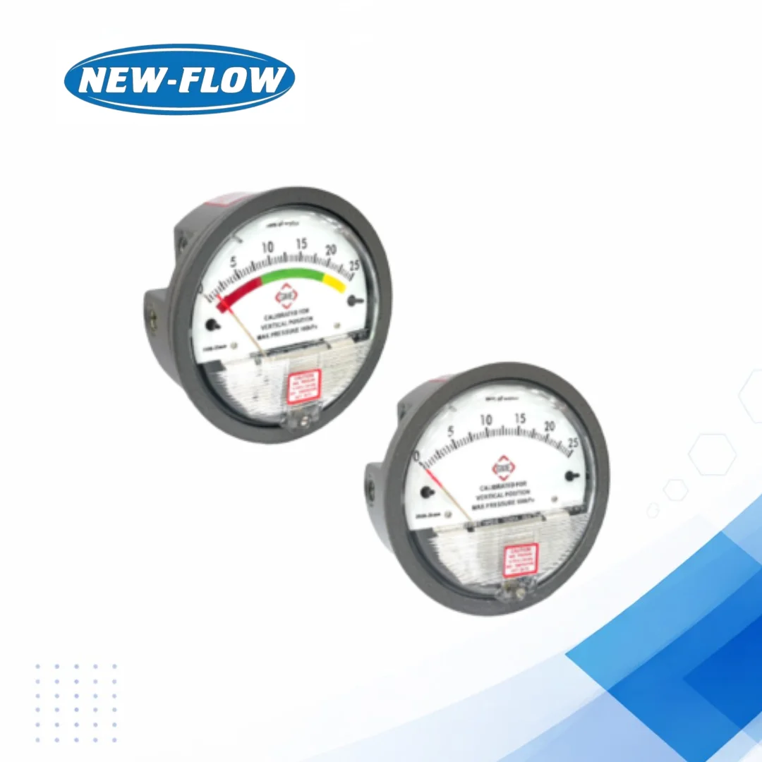 DPG2000 Differential Pressure Gauge for Precise Flow Monitoring