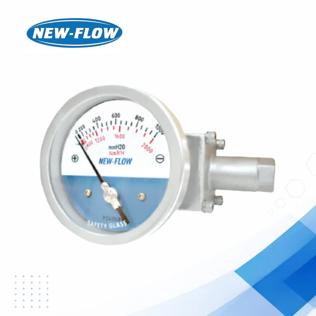 DPH300 Diaphragm Pressure Gauge for Low Pressure Accuracy