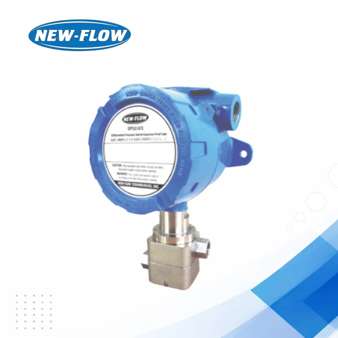 DPS2100X Explosion Proof Pressure Switch for Industrial Use