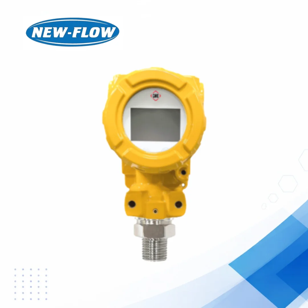 PT25 Electronic Pressure Transmitter for Industrial Use