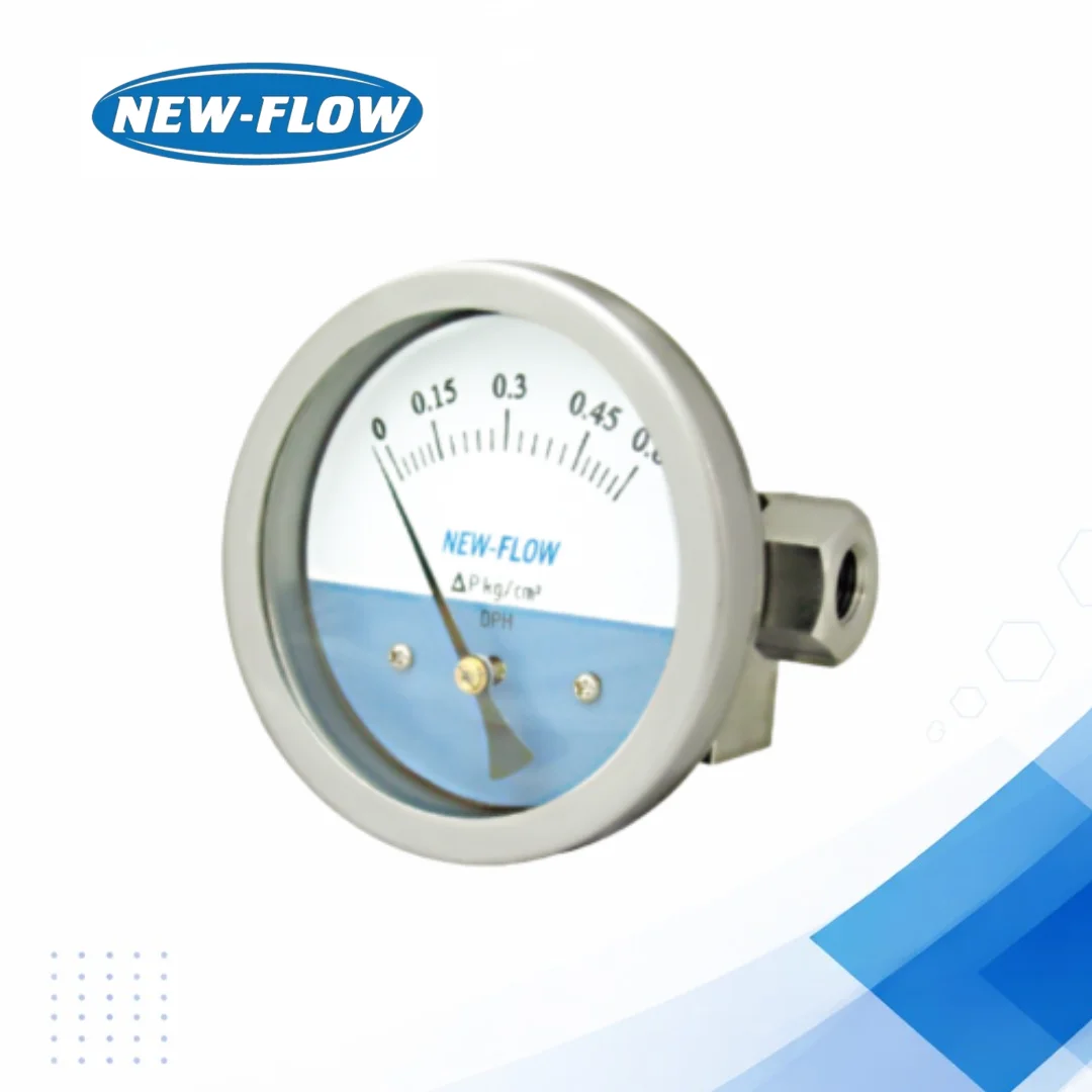 DPH Differential Pressure Gauge with SS316 IP66 Housing