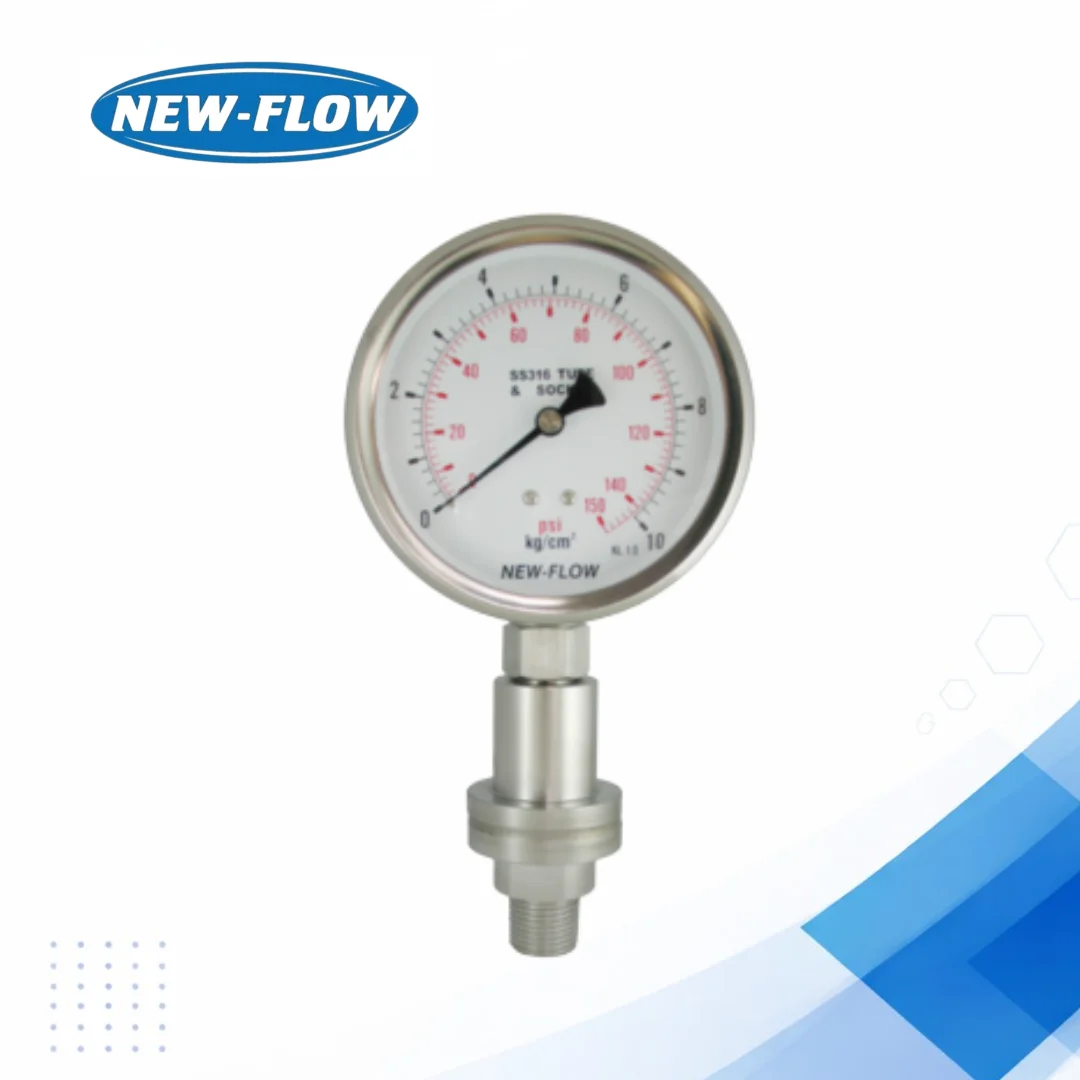 DT107 Diaphragm Pressure Transmitter for Viscous Media