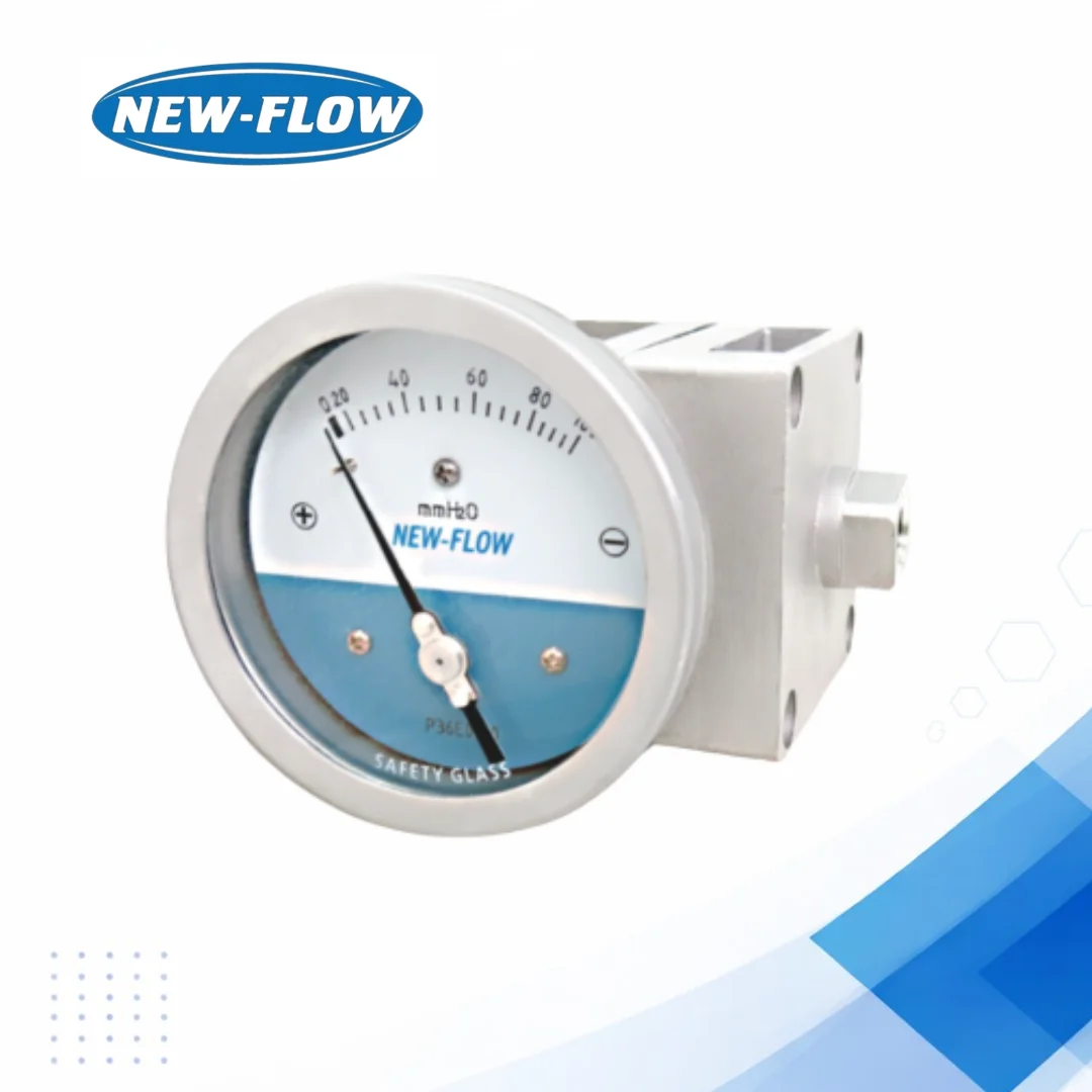 DPH400 Diaphragm Pressure Gauge for Low Pressure Systems