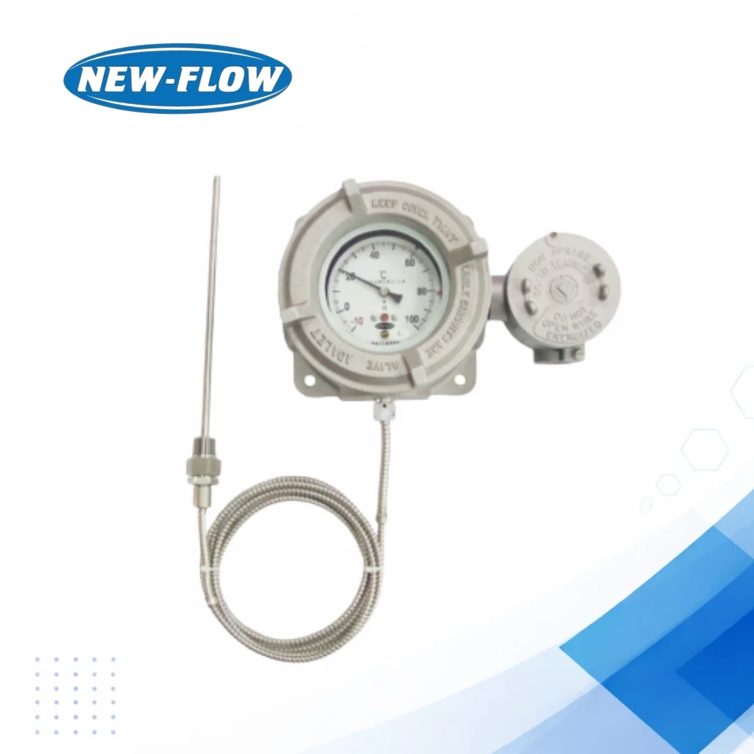 ETS5000 Temperature Switch for Industrial Heat Control